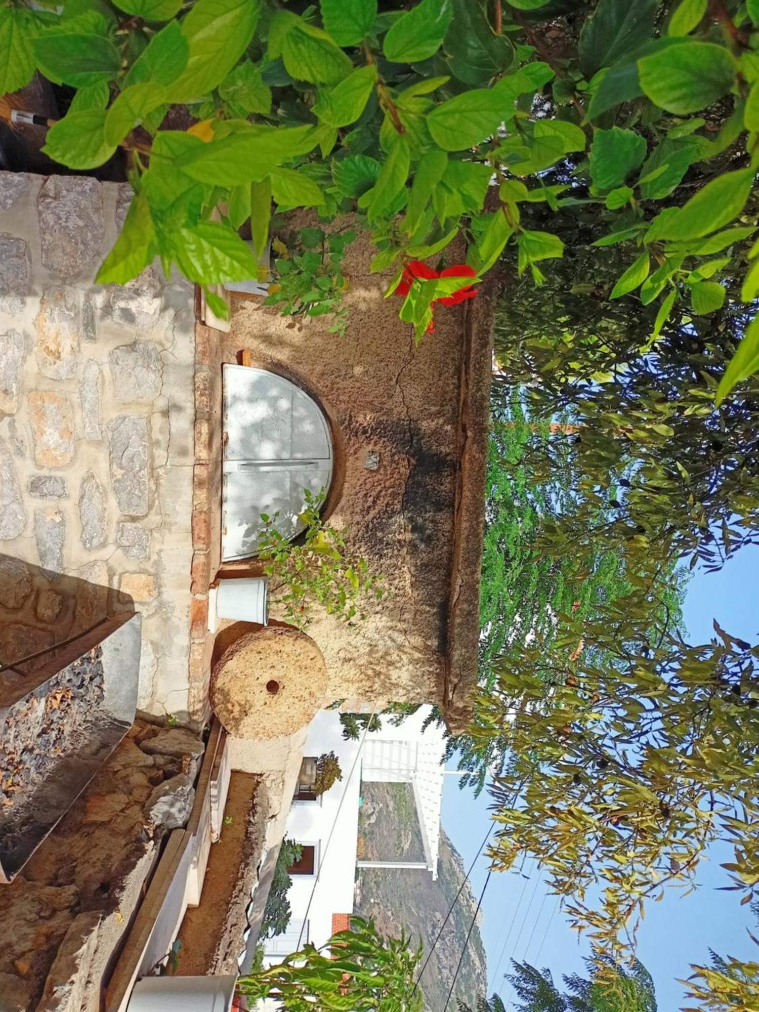 Smaragdas Paradise Hydra  Pokoj fotografie
